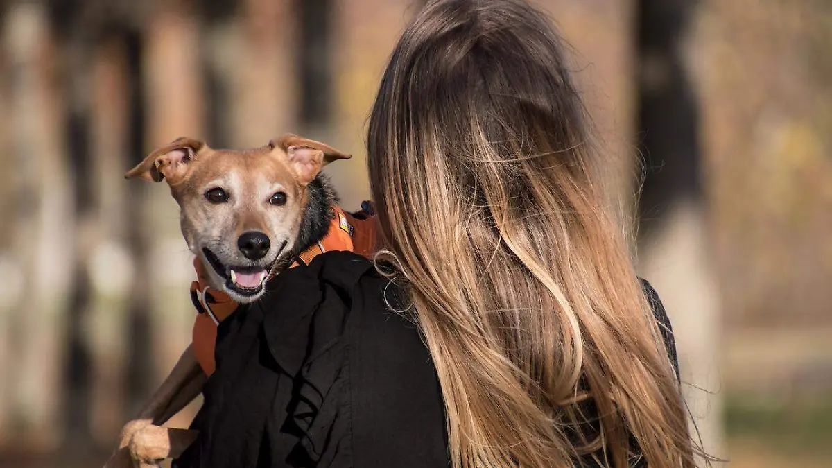 Mujer enferma a causa de su perro